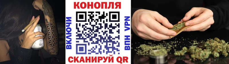 Каннабис сатива  Северобайкальск 